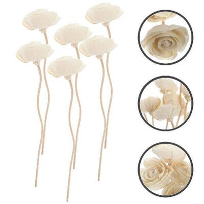 6 Pcs Aromatherapy Rattan Diffuser Sticks Dried Flower