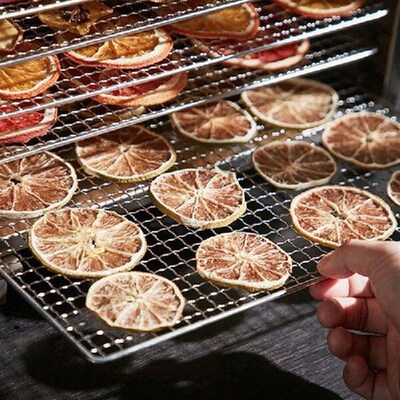 12-layer Commercial Fruit Dryer Machine Fruit Dryer