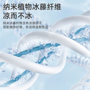 冰丝凉席夏季 0.9x190cm藤席夏天软席子8 学生宿舍单人专用202新款