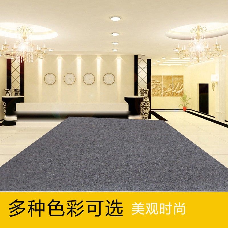 塑料地垫丝圈大门厅门前门垫迎宾红地毯进门防滑防水楼梯加厚踏垫,居家布艺,地毯,淘宝优惠券,粉丝福利购,淘宝优惠卷