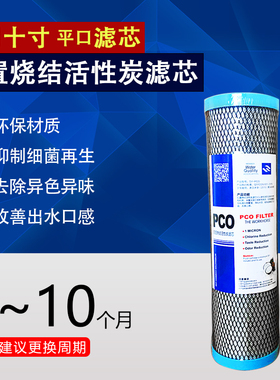 净水器10寸烧结活性炭烧结椰壳后置活性炭PCO滤芯CT0压缩炭