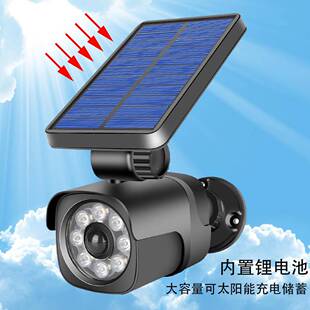 仿真摄像监控应太能壁灯人体阳感庭院灯探照灯花园头BHS路灯地插