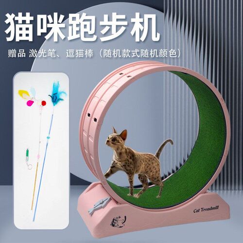 Pet Cat Dog Treadmill Fitness Exercise Silent Cat Crawler
