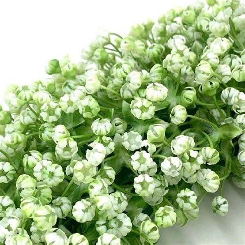 High Durability Home Decor For Wedding Celebrations High