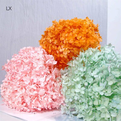 Hydrangea Eternal Flower Yunnan Eternal Flower Dried Flower