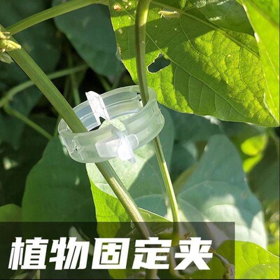 Gardening tools: Tomato hanging rope clips, vine binding cli