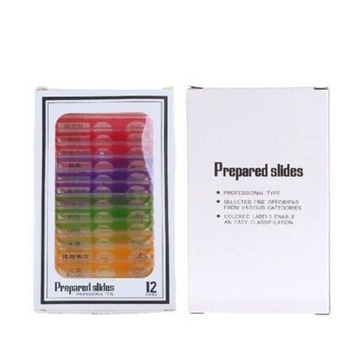 For Kids Plastic Prepared Microscope Slides Insect