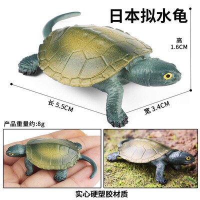 Chldrens cogntve smulaton amphban reptle turtle decoraton C
