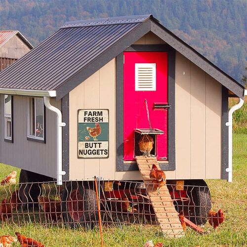 Vintage Metal Signs Chicken Coop Signs for Farm Yard Decor