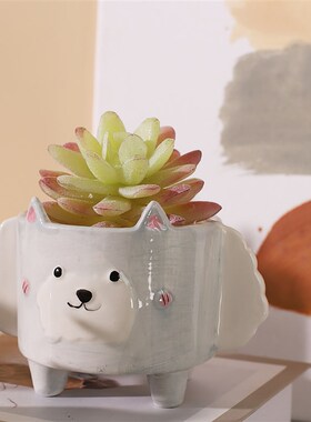 Cute Hedgehog Rabbit Ceramic Flowerpot Succulent Planter