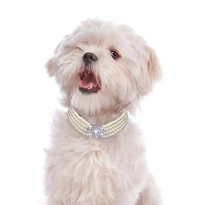 New Puppy Dog Choker Rhinestone Heart Four Rows Pearls Dogs