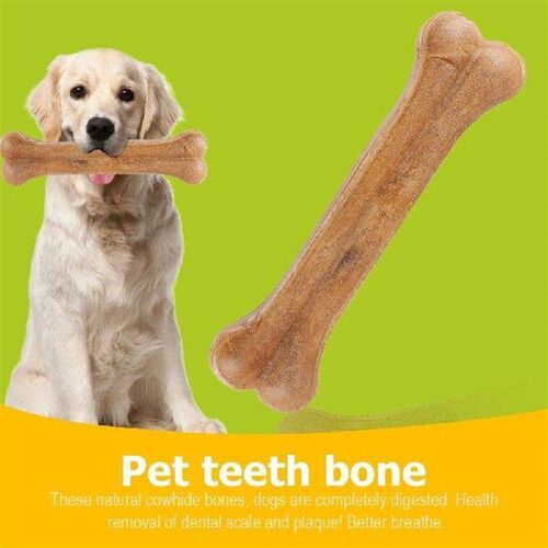 8 Inch Pet Chew Bone Non-Toxic Creative Molar Stick