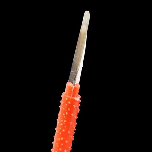Beekeeping Move Worms Needle Cattle Horn material Queen Rear