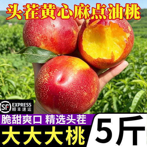 正宗麻点黄心油桃当季现摘脆甜