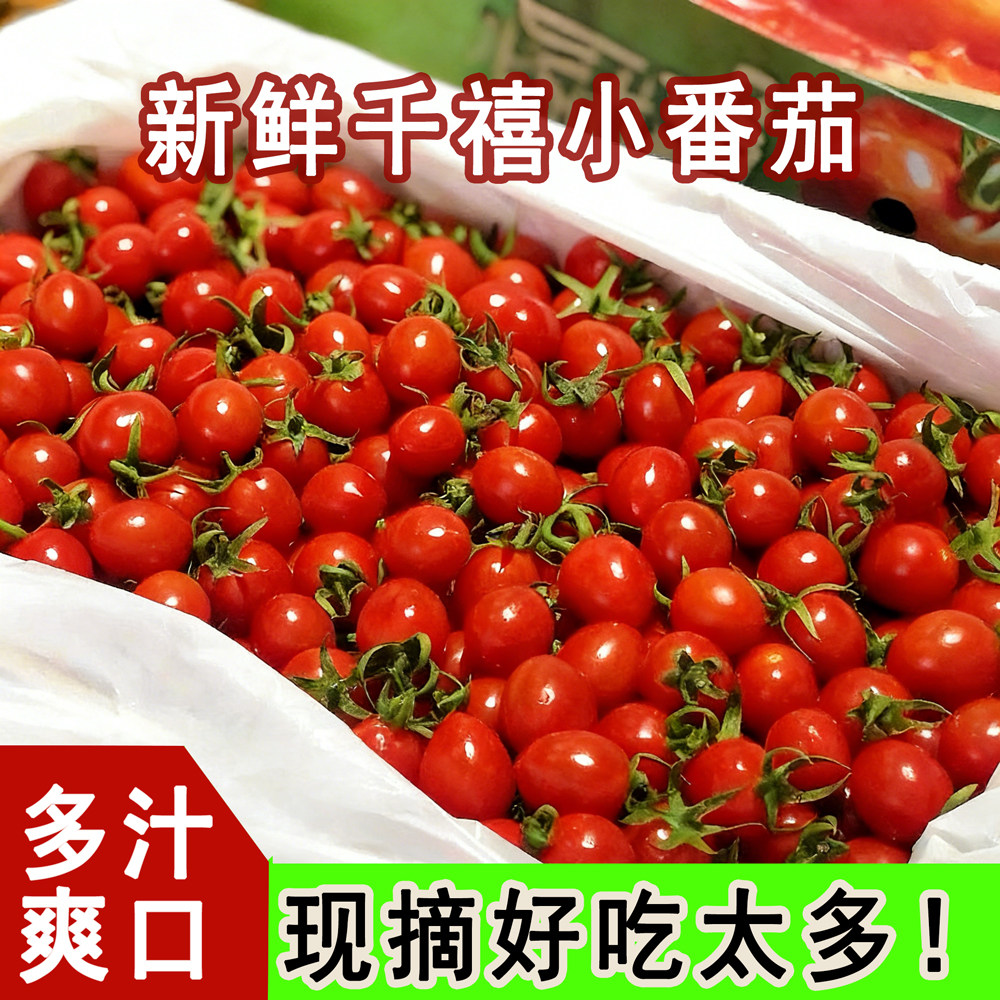 当季新鲜现摘圣女果小番茄整箱