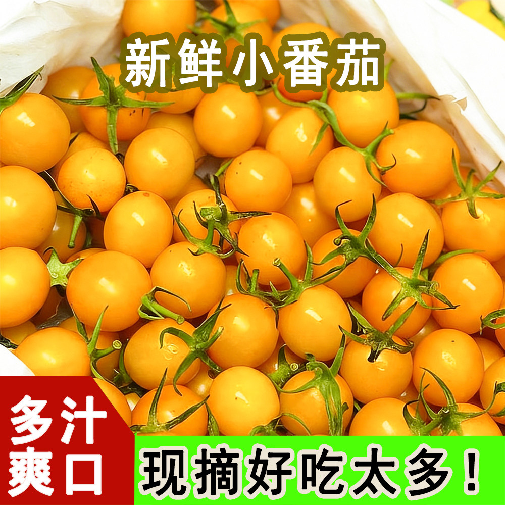 正宗山东小番茄皮薄肉嫩酸甜多汁圣女果3小西红柿孕妇生吃水果5