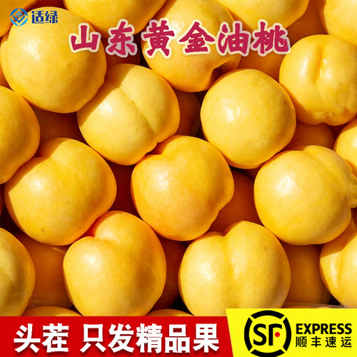 蒙阴黄金油桃新鲜当季整箱