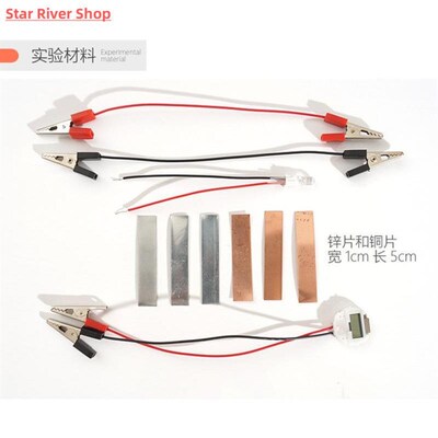 Biologia Energy Generate Electricity Science Experiment Educ
