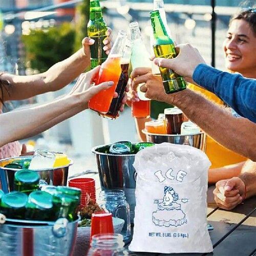 Ice Storage Bags 10pcs Antifreeze Ice Cube Pouches Ice