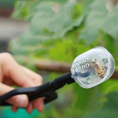 Reptile Terrarium Plastic Tongs Tweezers Pet Raising