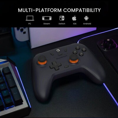 GameSir Nova Lite Switch Gamepad Hall Effect Joystick for Ni