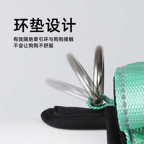 Dog leash for walking small and medium sized dogs