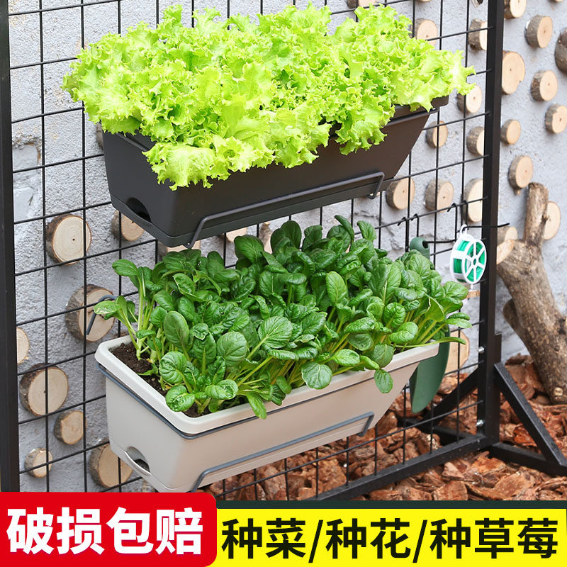 塑料种菜盆神器长方形阳台壁挂式草莓盆栽专用盆方形长条挂墙花盆,鲜花速递/花卉仿真/绿植园艺,花盆,淘宝优惠券,粉丝福利购,淘宝优惠卷