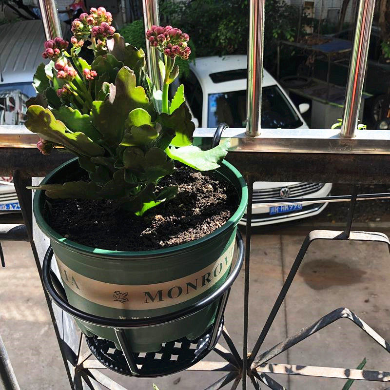 加大规格欧式铁艺栏杆花架客厅窗户阳台悬挂式吊兰绿萝多肉花盆架,住宅家具,花架/花几,淘宝优惠券,粉丝福利购,淘宝优惠卷