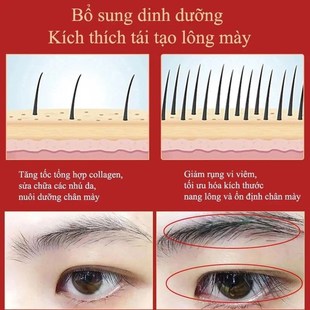Eyebrow Eyelash Growth Serum Fast Growing Prevent Hair Loss