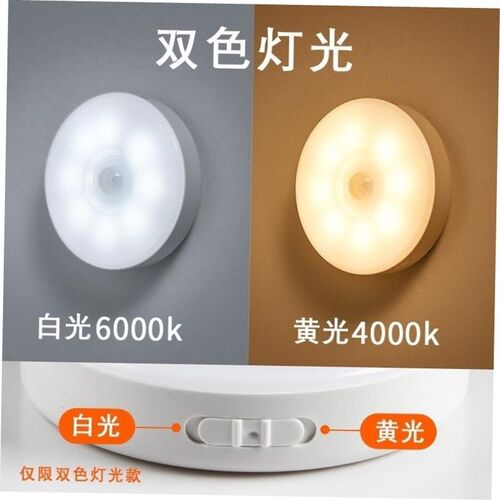 PIR Motion Sensor LED Night Light USB Rechargeable Lamp