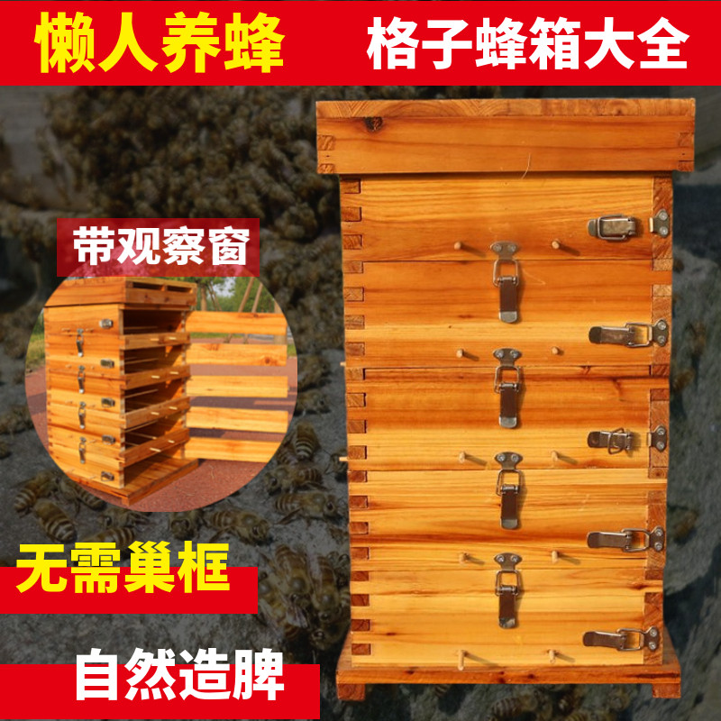 中蜂格子箱煮蜡格子箱蜜蜂箱加厚全杉木煮蜡蜂箱土蜂桶养蜂工具,畜牧/养殖物资,畜牧/养殖器械,淘宝优惠券,粉丝福利购,淘宝优惠卷