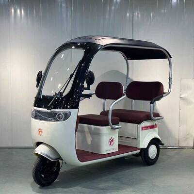 新款自带一体16838棚电动三车轮双排座休客货两用常闲代步电动日