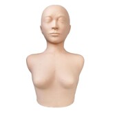 皮肤管理头模特美容院练习脸部穴位按摩练手法假人光头模型带肩膀