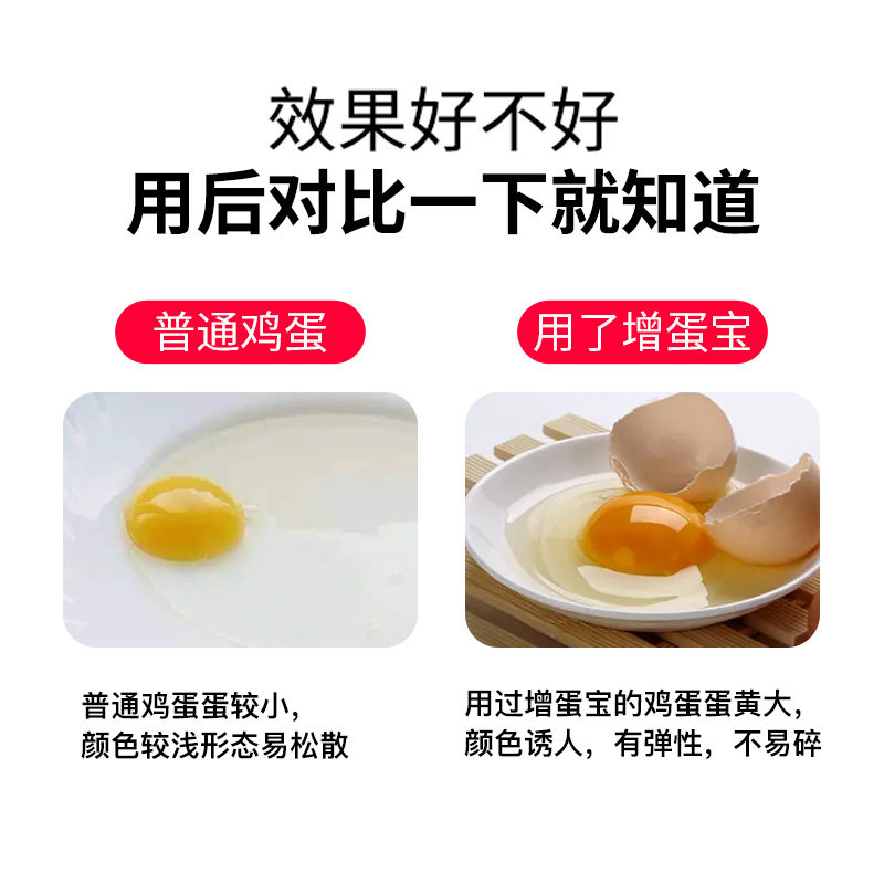 蛋多多增蛋宝鸡鸭鹅兽禽通用鸽子鹦鹉催蛋芦丁鸡饲料添加剂产蛋王