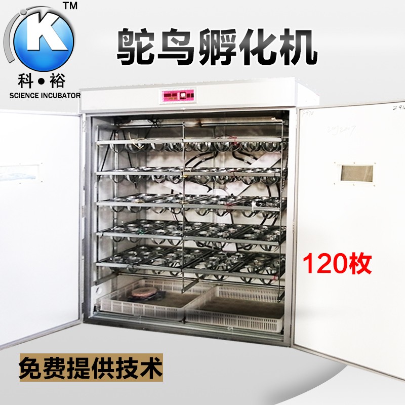科裕鸵鸟孵化机全自动家用孵化器鸵鸟蛋专用智能卵化器