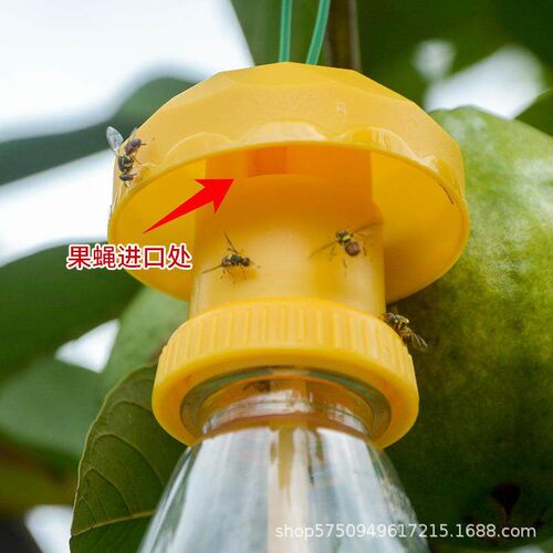 Wholesale fruit fly trap caps, to be used with fruit fly att