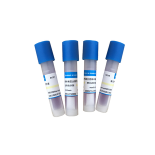 山东新华牌 压力蒸汽灭菌生物指示剂 嗜热脂肪芽孢杆菌TCC7953