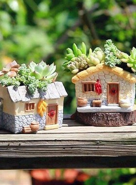 Farmhouse Succulent Pot Bonsai Container Decorative Flower