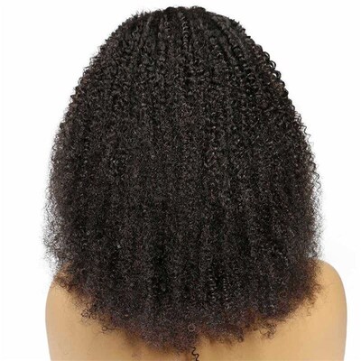 Braids  Cap Afro Curly Wigs Wig Human Hair Brazilian