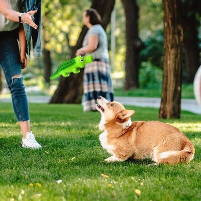 Pet Dog Toy Rubber Crocodile Squeaky Dog Toy Interactive