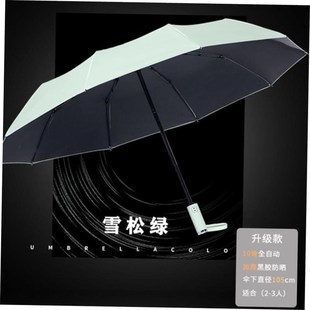 Strong Wind Resistant 12K Automatic Umbrella Rain Women Wi