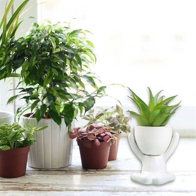 Black/White Succulent Plant Pot Decorative Flower Planter