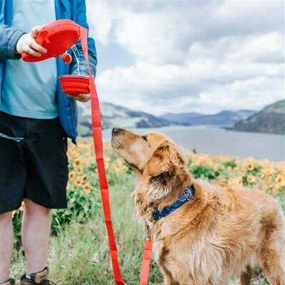 Detachable Retractable Dog Leash Plastic with Water Bowl