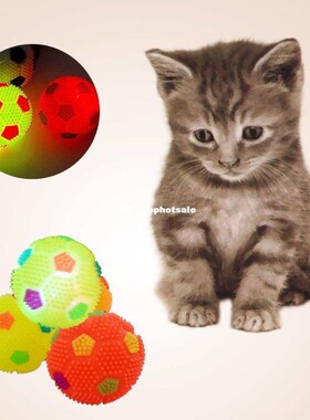 Colorful Ball Toys Flashing Light Up Toy Ball Sensory Dog Ba