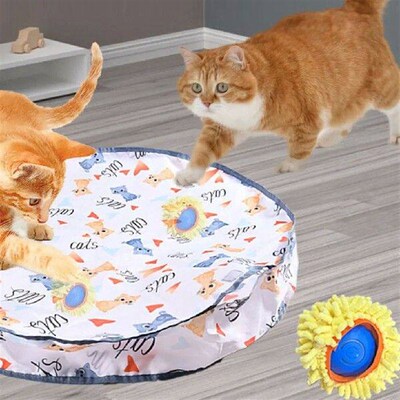 Electric Cat Toys,Hide and Seek Kitten Toy,Chirping&Motion