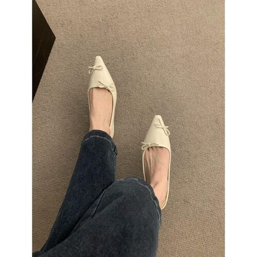2024 Low Heeled Pointed Single Shoes Fairy Shoes Low Mouth B