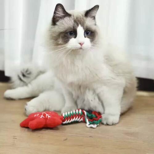 Christmas Small Dog Toy Chew Plush Puppy Cat Gift Tassel Rop