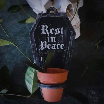 Plant Pot Coffin Shape Succulent Plant Decoration Stand
