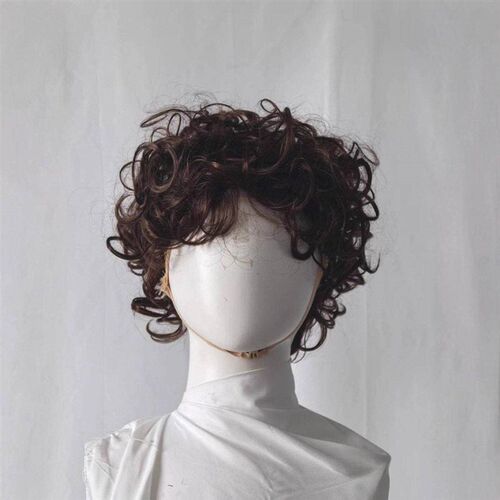 小丑表演 ladies short hair caps hair party curls wigs 假发
