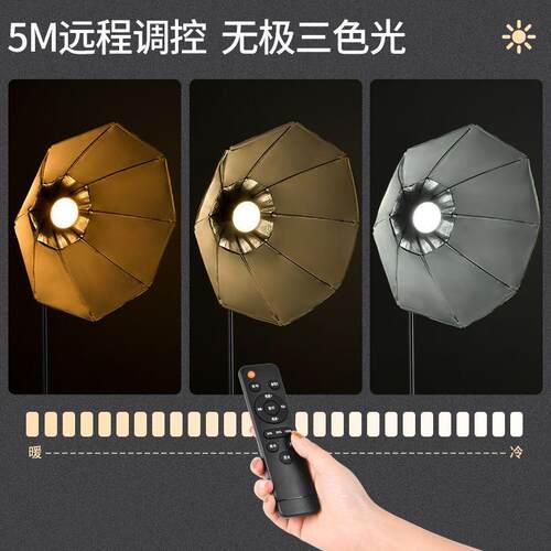 Kang Ying Octagonal Supplementary Light Live Photography Lig